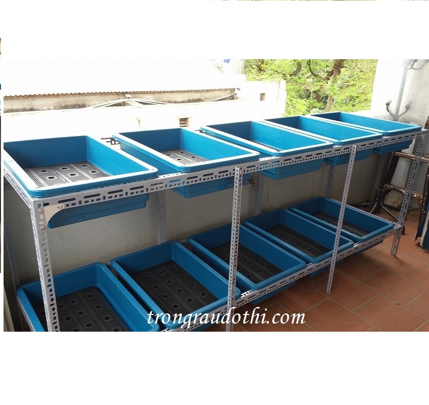 Giàn trồng rau 2 tầng 10 chậu